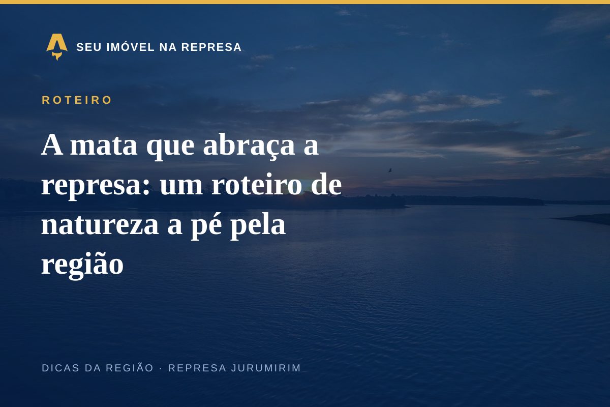 A mata que abraça a represa: um roteiro de natureza a pé pela região