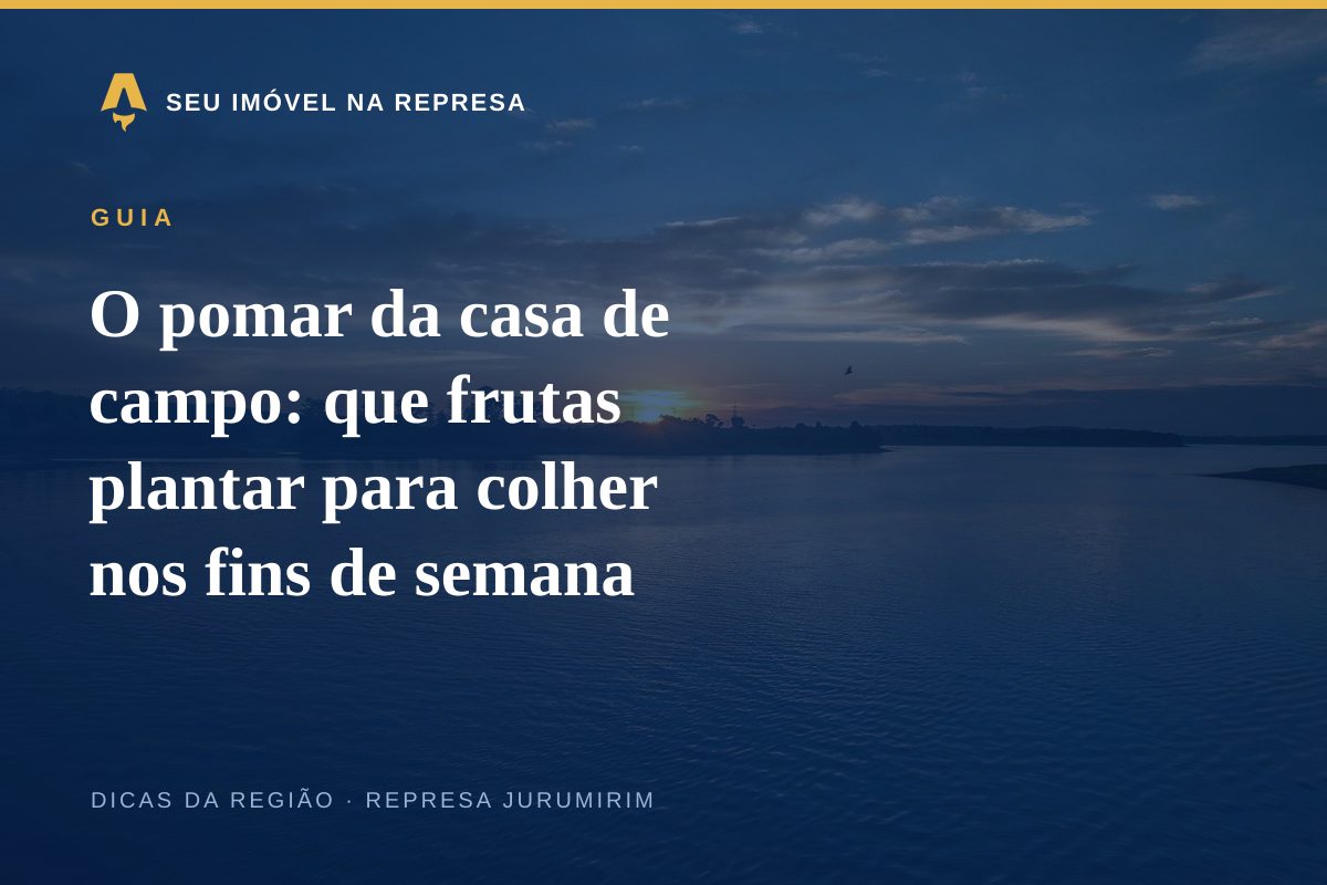 O pomar da casa de campo: que frutas plantar para colher nos fins de semana